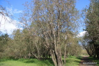 nte Egitto-29-04-2023 15-30-24